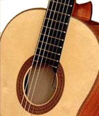 koa-3.jpg